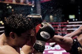 Sport da Combattimento in Italia: Un Fenomeno in Crescita e l’Importanza di Affidarsi a Prodotti di Qualità